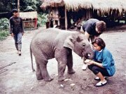 Auch ein keliner Elefant