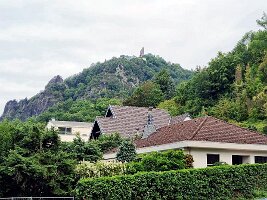 Adenauerhaus-16
