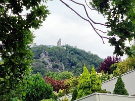 Adenauerhaus-18