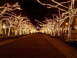 Besuch in Berlin-03