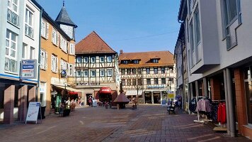 Buchen-03
