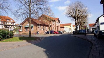 Buchen-05