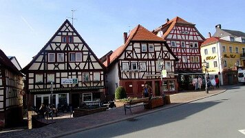 Buchen-06