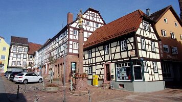 Buchen-08