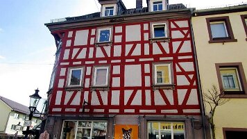 Buchen-09