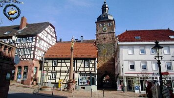 Buchen-10