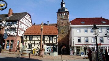 Buchen-11