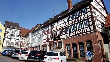 Buchen-12