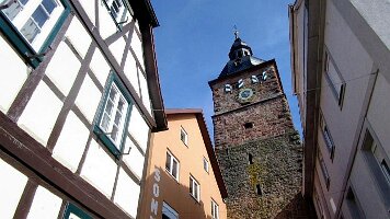 Buchen-13