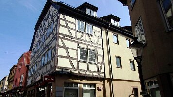 Buchen-14