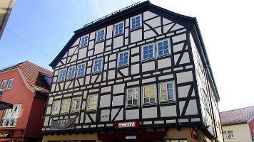 Buchen-15