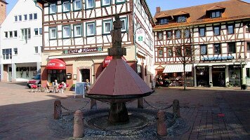 Buchen-19
