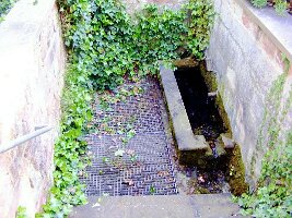 Fechingen-14