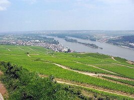 Rüdesheim-10