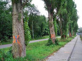 BUGA Planung und Bau-03