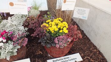 BUGA Blumenhallen-24