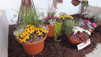 BUGA Blumenhallen-25