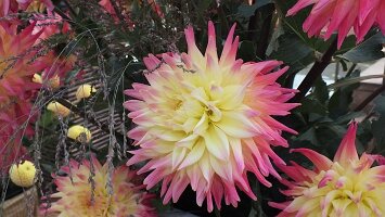 BUGA Blumenhallen-26