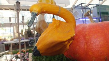 BUGA Blumenhallen-27