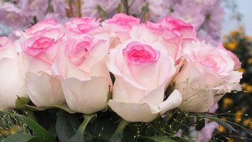 BUGA Blumenhallen-29