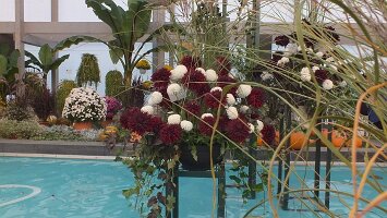 BUGA Blumenhallen-39