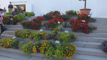 BUGA Blumenhallen-41