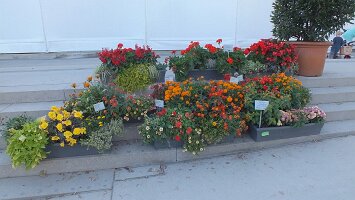 BUGA Blumenhallen-42