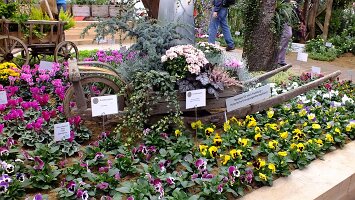 BUGA Blumenhallen-45