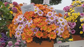 BUGA Blumenhallen-49