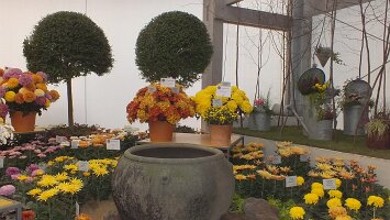 BUGA Blumenhallen-50