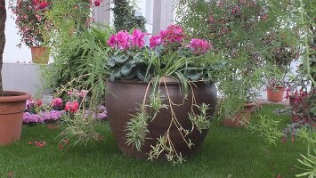 BUGA Blumenhallen-51