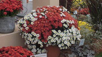 BUGA Blumenhallen-54