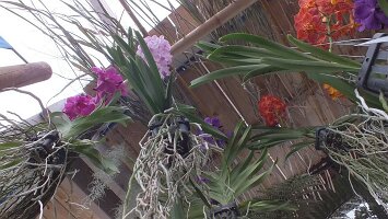 BUGA Blumenhallen-56