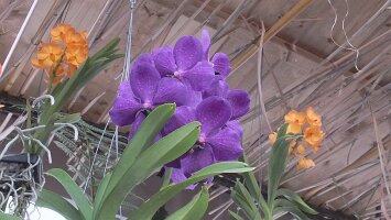 BUGA Blumenhallen-57