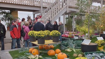 BUGA Blumenhallen-59