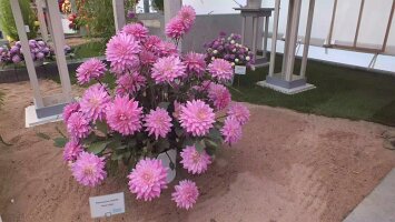 BUGA-Festung-2011-09-20-0022