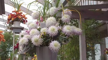 BUGA-Festung-2011-09-20-0023