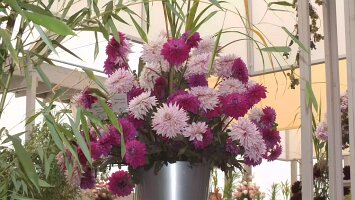 BUGA-Festung-2011-09-20-0024