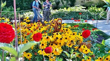 Blumenhof und Deutsches Eck-34