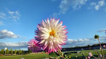 BUGA Festungsplateau-26