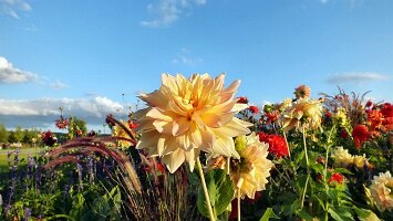 BUGA Festungsplateau-27