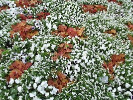 BUGA Schlosspark-14