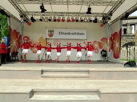 BUGA-Stadtteiltag-29