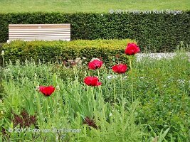 01-BUGA-Schloss-0015