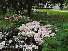 01-BUGA-Schloss-0017