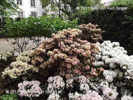 01-BUGA-Schloss-0020