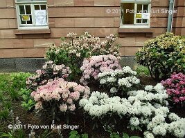 01-BUGA-Schloss-0021