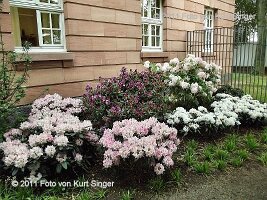 01-BUGA-Schloss-0022