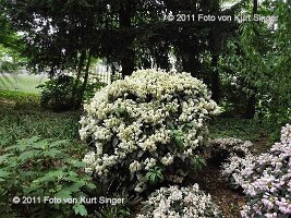 01-BUGA-Schloss-0023