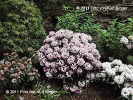 01-BUGA-Schloss-0024